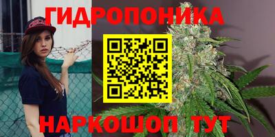 стафф Бузулук