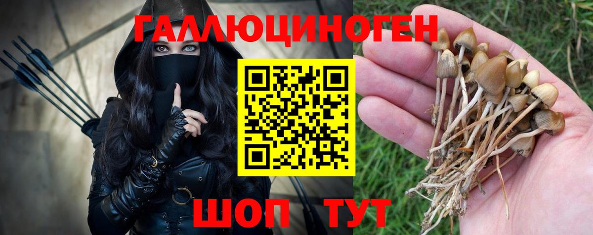 Черкесск  Галлюциногенные грибы мухоморы  Псилоцибиновые грибы Cubensis  Вход с VPN 