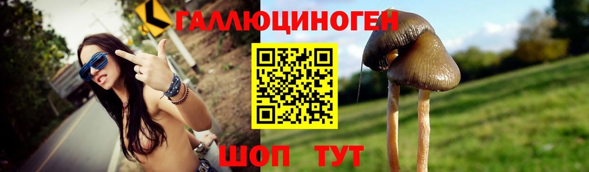 Псилоцибиновые грибы GOLDEN TEACHER Черкесск